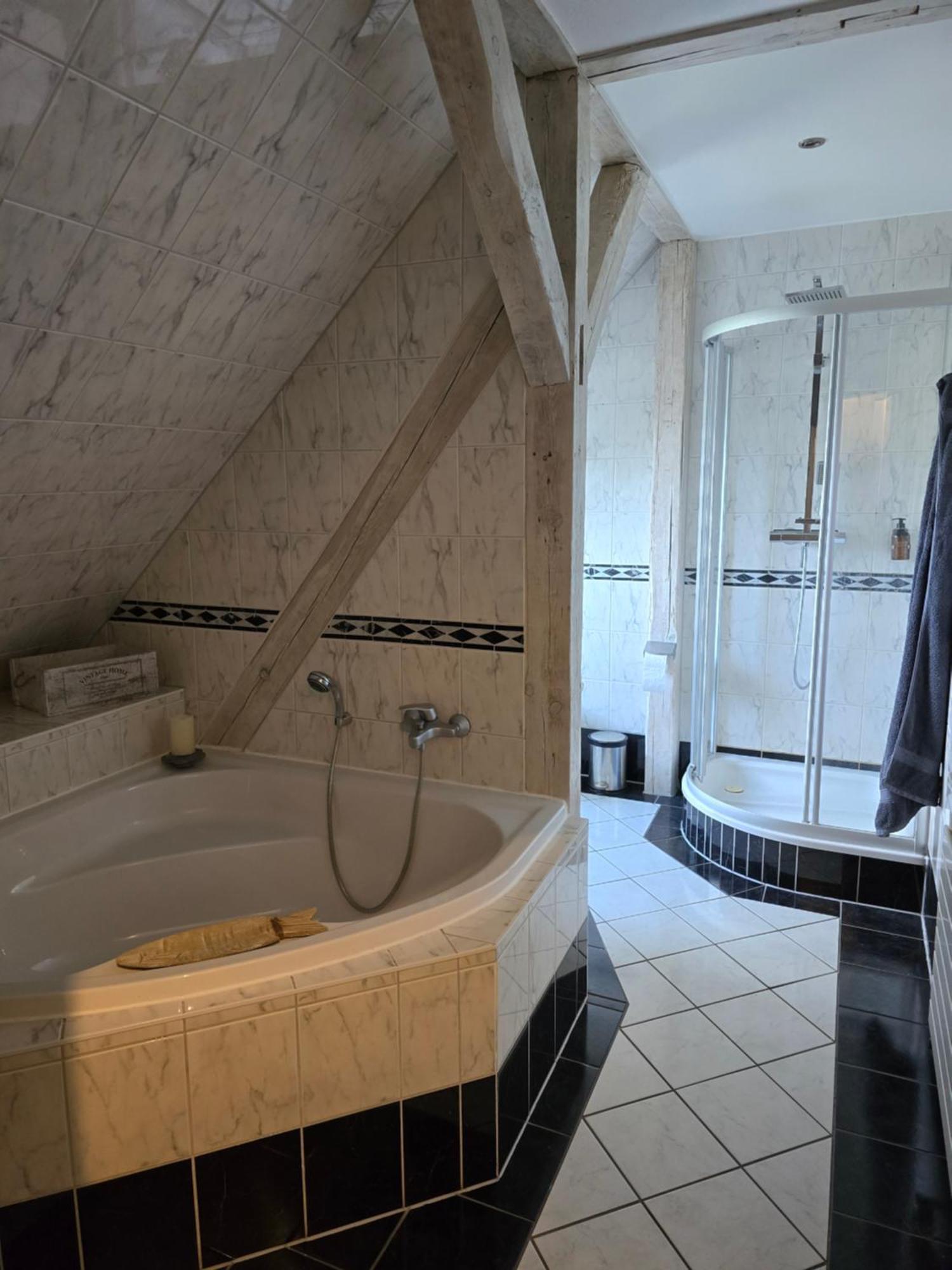Willa Palais Picard Westfluegel Thale Zewnętrze zdjęcie